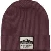 Smartwool Patch Beanie -Kuppeltelte Butik 12300187 k40