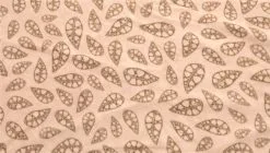 Robens Fleece Carpet Wolf Moon 4XP